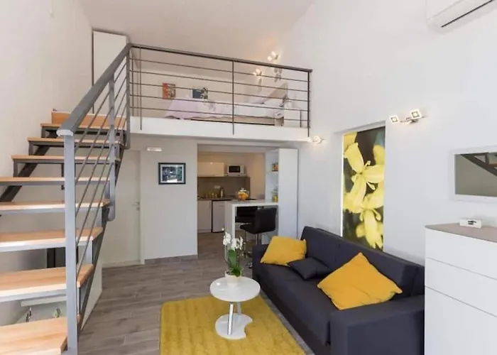 Pomet Superior Studio